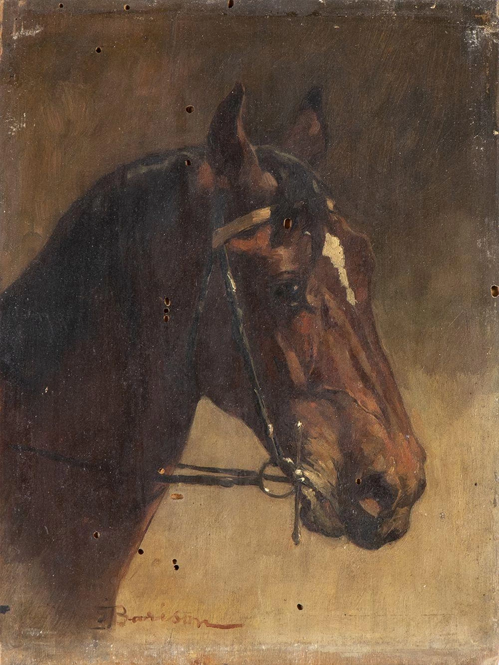 Testa di cavallo